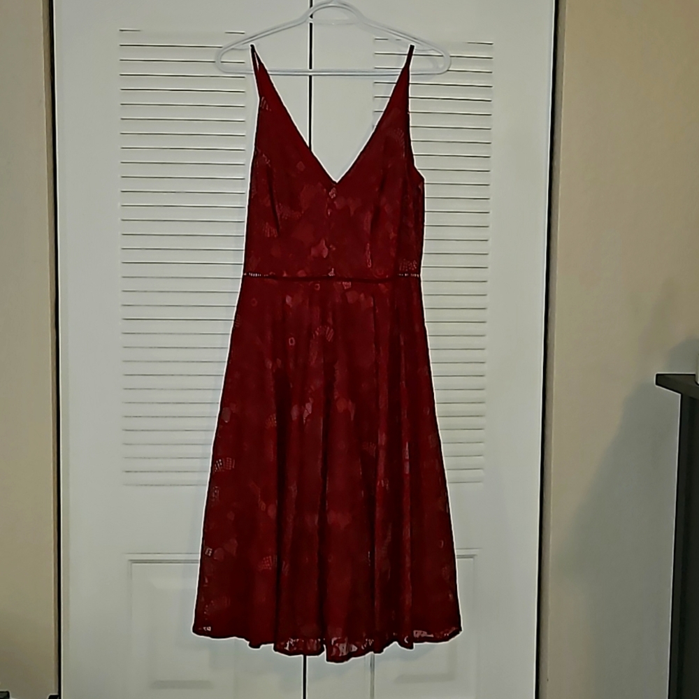 Lulus knee length lace cocktail dress